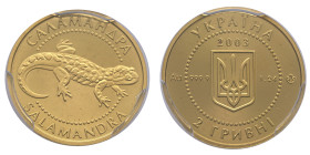 Ukraine, 2 Hryvni Salamander, Banque national d'Ukraine, 2003, AU 1,24 g. 999 ‰
Réf: 	KM# 178
Conservation: PCGS PL68