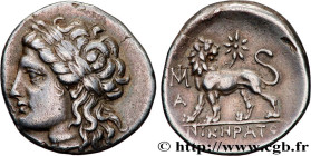 IONIA - MILETUS
Type : Drachme 
Date : c. 259-246 AC. 
Mint name / Town : Milet, Ionie 
Metal : silver 
Diameter : 20,5  mm
Orientation dies : 12  h.
...