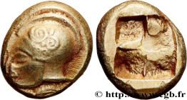 IONIA - PHOKAIA
Type : Hecté d’électrum 
Date : c. 521-478 AC. 
Mint name / Town : Phocée, Ionie 
Metal : electrum 
Diameter : 10,5  mm
Weight : 2,59 ...
