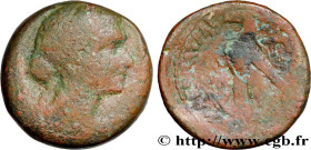 LAGID KINGDOM - CLEOPATRA VII AND PTOLEMY XIII
Type : Quatre-vingts drachmes 
Date : c. 51-40 AC. 
Mint name / Town : Alexandrie, Égypt 
Metal : coppe...