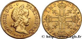 LOUIS XIV "THE SUN KING"
Type : Demi-louis d'or à la mèche longue 
Date : 1647 
Mint name / Town : Paris 
Quantity minted : 45349 
Metal : gold 
Mille...