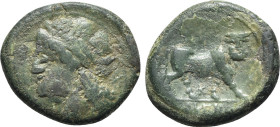 Italy, Northern Campania, Cales, c. 265-240 BC. Æ (22mm, 6.27g, 6h). Laureate head of Apollo l.; serpent behind. R/ Man-headed bull standing r., head ...