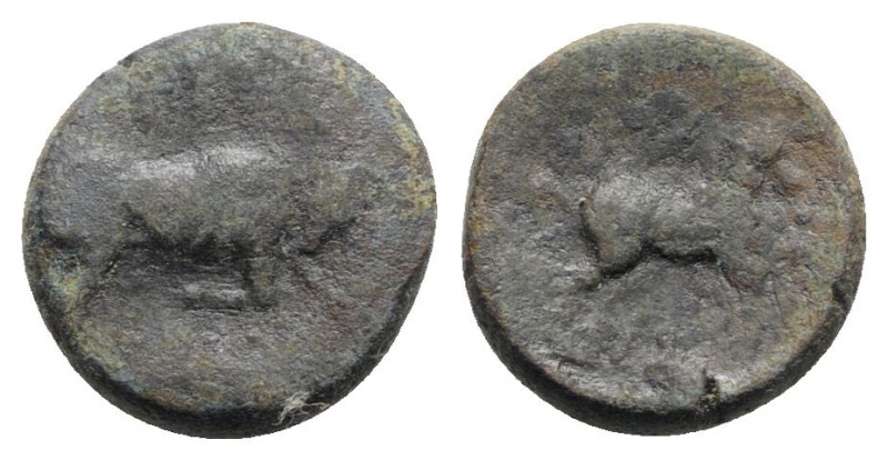 Italy, Northern Apulia, Arpi, c. 275-250 BC. Æ (19mm, 8.14g, 10h). Poullos, magi...