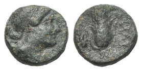 Italy, Northern Lucania, Paestum, c. 218-201 BC. Æ Uncia (11mm, 1.78g, 6h). Head of Artemis r.; bow and quiver over shoulder. R/ Corn ear. Cf. HNItaly...