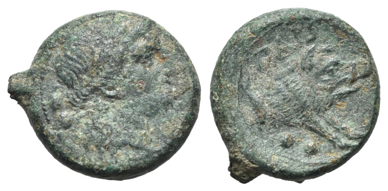 Italy, Northern Lucania, Paestum, 218-201 BC. Æ Sextans (18mm, 3.57g, 6h). Femal...