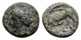 Sicily, Syracuse. Agathokles (317-289 BC). Æ (16mm, 3.90g, 9h), c. 317-310. Head of Arethusa l.; leaf behind. R/ Bull butting l.; dolphin above. HGC 2...