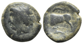 Sicily, Syracuse. Agathokles (317-289 BC). Æ Hemilitron (23mm, 10.02g, 6h). c. 317-310. Wreathed head of Kore l. R/ Bull butting l.; above, dolphin l....