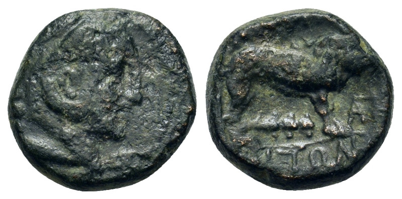 Macedonia, Amphipolis. Time of Philip V (221-179 BC). Æ 14 mm (4,60g.). Head of ...