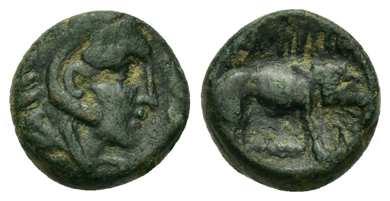 Macedonia, Amphipolis. Time of Philip V (221-179 BC). Æ 13 mm (4,40g.). Head of ...