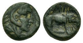 Macedonia, Amphipolis. Time of Philip V (221-179 BC). Æ 13 mm (4,40g.). Head of Herakles right, wearing lion's skin headdress. R/ [A]MΦIΠ[O]ΛITΩN, lio...