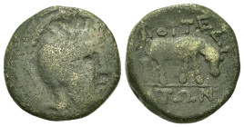 Macedon, Bottiaia, c. 165-148 BC. Æ (19,1mm, 8g). Helmeted head of Athena r. R/ Ox grazing r. HGC 3, 365.