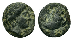 Macedon. Phagres (400-350 BC). Æ 10 mm (1,16g.). Laureate head of Apollo to right. R/ ΦA ΓP Forepart of a lion to right. HGC 3.1 -. Liampi, Phagres 5 ...