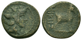 Macedon, Thessalonica, c. 187-31 BC. Æ (17,8mm, 5,2g). Head of young Dionysos r., wreathed in ivy. R/ Goat standing r. SNG ANS 800.