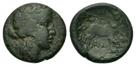 Macedon, Thessalonica, c. 187-31 BC. Æ (19,2mm, 6.2g). Head of young Dionysos r., wreathed in ivy. R/ Goat standing r. BMC 16.