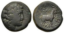 Macedon. Thessalonica, after 148 BC. (Bronze, 19.5 mm, 7,44g.). Head of Dionysos to right, wearing ivy wreath. R/ ΘΕΣΣΑ-ΛΟ-ΝΙ-ΚH-Σ Goat standing to ri...