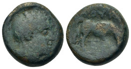 Macedon, Roman Protectorate, Time of Aemilius Paullus. Æ (17,5mm, 9g). Gaius Publilius (Quaestor, c. 168-167 BC). Helmeted head of Athena r. R/ Ox gra...