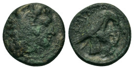 Kings of Macedon. Amyntas III (394/3-370/69 BC). Æ Tetrachalkon (16.5mm, 3,42 g.). Aigai or Pella mint. Head of Herakles right, wearing lion skin. R/ ...
