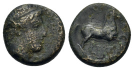 Kings of Macedon. Alexander II (370/69-368/7 BC). Æ (14mm, 3.46). Young male head r., wearing taenia. R/ Horse prancing r. SNG ANS 110-1.