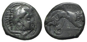 Kings of Macedon, Perdikkas III (365-359 BC). Æ (18mm, 3.46g, 12h). Head of Herakles r., wearing lion skin. R/ Lion standing r., breaking javelin with...