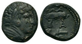 Kings of Macedon. Alexander III 'the Great' (336-323 BC). Æ (15mm, 6.00g), uncertain mint in Macedon, circa 325-310. Head of youthful Herakles to righ...