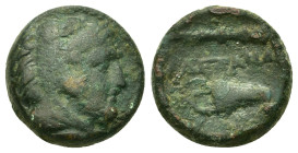 Kings of Macedon. Alexander III 'the Great' (336-323 BC). Æ Unit (16mm, 5 60g.). Uncertain mint in Macedon. Head of Herakles right, wearing lion skin....