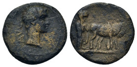 Augustus (27 BC-14 AD). Macedon, Bisaltia (col. Princeps Felix). Æ (20mm, 4.40g). AUG Bare head of Augustus right. R/ Two veiled priests plowing right...