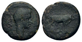 Augustus (27 BC-14 AD). Macedon, Philippi. Æ (16,7mm, 3.4g). Bare head r. R/ Two priests plowing r. RPC I, 1656.