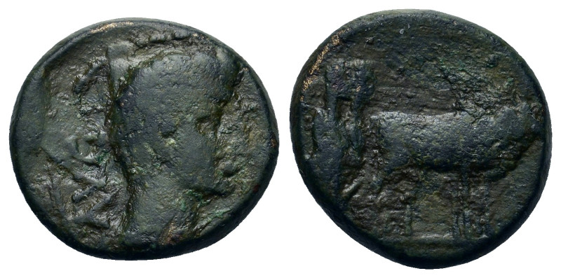 Tiberius (14-37). Macedon, Philippi. Æ (18,7mm, 4.8g). Bare head r. R/ Two pries...