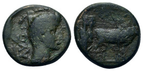 Tiberius (14-37). Macedon, Philippi. Æ (18,7mm, 4.8g). Bare head r. R/ Two priests plowing r. RPC I, 1657.
