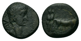 Tiberius (14-37). Macedon, Philippi. Æ (15mm, 3g). Bare head r. R/ Two priests plowing r. RPC I, 1657.