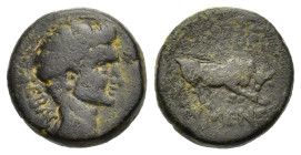 Tiberius (14-37). Phrygia. Eumeneia. Tiberius (14-37). Æ (16,2mm, 5.3g). ΣΕΒΑΣΤΟΣ. Bare head right. R/OVAΛEPIOΣ /ZMEPTOPIX / EVMENEΩ / N. Bull butting...