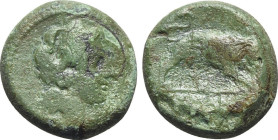 Anonymous, Southern Italy, c. 260 BC. Æ (20mm, 8.66g, 2h). Female head r., with ribbon in hair. R/ Lion r.; [ROMANO] in exergue. Crawford 16/1a; HNIta...
