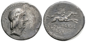 ROMAN REPUBLIC. L. Calpurnius Piso Frugi. 100 BC. AR Denarius (3.3 g. 19,3 mm. ). Laureate bust of Apollo / Jockey on horse holding palm. Calpurnia
