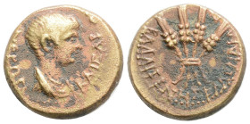 Roman Provincial
Nero (54-68). Lydia, Blaundus. Æ (16,8 mm, 3.6g, 12h). Bare-headed and draped bust r. R/ Four grain ears, tied together. RPC I 3060....