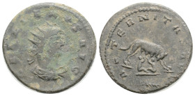 GALLIENUS (253-268). Antoninianus. Antioch. 3,9 g. 20,8 mm.
Obv: GALLIENVS AVG. Radiate head right.
Rev: AETERNITAS AVG / (palm). She-wolf standing ...