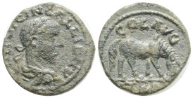 TROAS. Alexandria. Gallienus (253-268). Ae.6,7 g. 21,4 mm.
Obv: IMP LICIN GALLIEN. Laureate, draped and cuirassed bust right.
Rev: COL AVG / TRO. Ho...