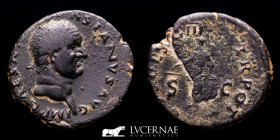 Vespasian Bronze As 9.69 g 29 mm. Tarraco 70 A.D. gVF