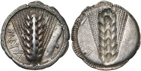 LUCANIE, METAPONTE, statère, vers 520 av. J.-C. D/ META Epi d'orge à sept grains. A d., sauterelle. R/ Epi d'orge incus. Noe 101 (mêmes coins); SNG AN...