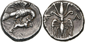ELIDE, ELIS, AR drachme, vers 245-210 av. J.-C. D/ Aigle à d., les ailes ouvertes, saisissant dans ses serres un lièvre courant à d. et l'attaquant à ...