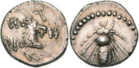 CRETE, ELYROS, AR drachme, vers 300-270 av. J.-C. D/ EΛ-Y/PIO-N T. de bélier à d. En dessous, pointe de flèche. R/ Abeille. Svoronos, Crète, 1; SNG Co...