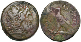 ROYAUME LAGIDE, Ptolémée IV Philopator (221-205), AE drachme, Alexandrie. D/ T. diad. de Zeus Amon à d. R/ ΠΤΟΛΕΜAIOY ΒΑΣΙΛΕΩΣ Aigle à g. sur un foudr...