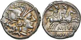 M. Iunius Silanus, AR denier, 145 av. J.-C., Rome. D/ T. casquée de Roma à d. A d., . A g., une t. d'âne à g. R/ Les Dioscures chevauchant à d. En de...