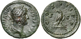 HADRIEN (117-138), AE semis, 129-130, Rome. D/ HADRIANVS AVGVSTVS P P B. l., dr. à d. R/ COS III P P/ S-C Aigle de f., t. à g. sur un foudre BMC 441, ...