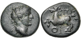 LYCIE, TERMESSOS PRES D'OINOANDA, Tibère (?) (14-37), AE bronze. D/ T. l. à d. R/ Cheval galopant à g. Au-dessus, TEP. En dessous, OI. RPC 3358. 5,26 ...