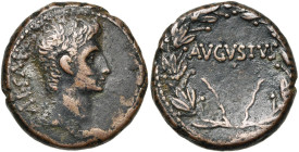 SYRIE, ANTIOCHE, Auguste (-27-14), AE bronze, vers 27-5 av. J.-C. D/ CAESAR T. nue à d. R/ AVGVSTVS dans une couronne de laurier. RPC 4100; McAlee, Ro...