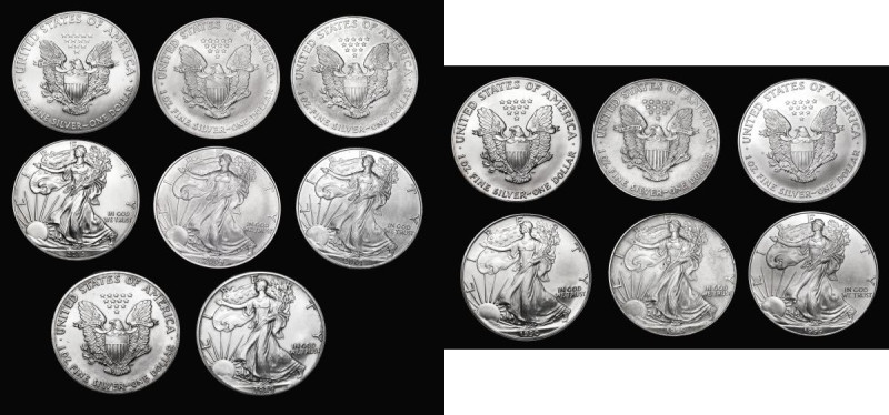 USA Standing Liberty Silver Dollars (8) 1989, 1990, 1995, 1999, 2001, 2004, 2013...