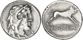 RÉPUBLIQUE ROMAINE
Volteia, Marcus Volteius. Denier ND (78 av. J.-C.), Rome. RRC.385/2 ; Argent - 3,99 g - 17,5 mm - 5 h
TTB.