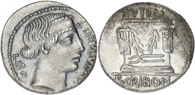 RÉPUBLIQUE ROMAINE
Scribonia, Lucius Scribonius Libo. Denier ND (62 av. J.-C.), Rome. RRC.416/1b ; Argent - 3,69 g - 18 mm - 6 h
Avec tenailles. Super...