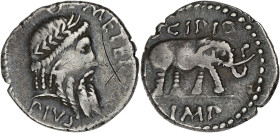 RÉPUBLIQUE ROMAINE
Q. Metellus Scipio. Denier ND (47-46 av. J.-C.), Afrique du Nord. RRC.459/1 ; Argent - 3,24 g - 17,5 mm - 12 h
Bel éléphant et pati...