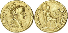 EMPIRE ROMAIN
Tibère (14-37). Aureus ND (14-17), Lyon. Calicó 305 - RIC.25 - Fr.65 ; Or - 7,65 g - 18,5 mm - 11 h
Deux griffes au droit et de petites ...